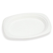 Ovale Zuckerrohrplatte // Ovale Pulp Plate / Oval Bagasse Platte / Oval Biologisch abbaubare Platte / Grüne Platte